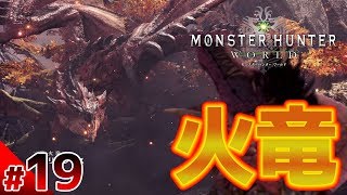 【モンハンワールド 狩猟19日目】頂に眠る王 リオレウスとの対決！