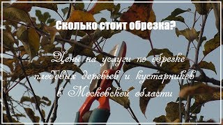 Обрезка - цена. Сколько стоит обрезка деревьев в Подмосковье?