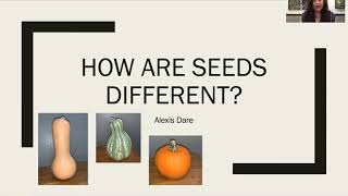 How are Seeds Different Science Lesson Plan