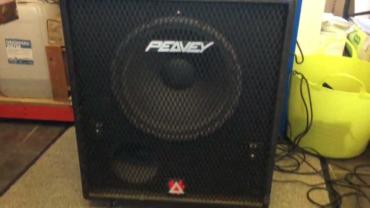 Peavy Mark VI bass amp Head & cab