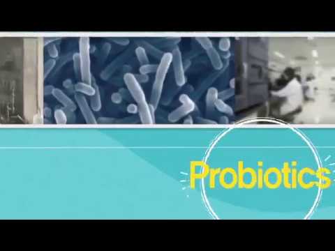 ATOMY PROBIOTICS 10+  艾多美 益生菌 10+