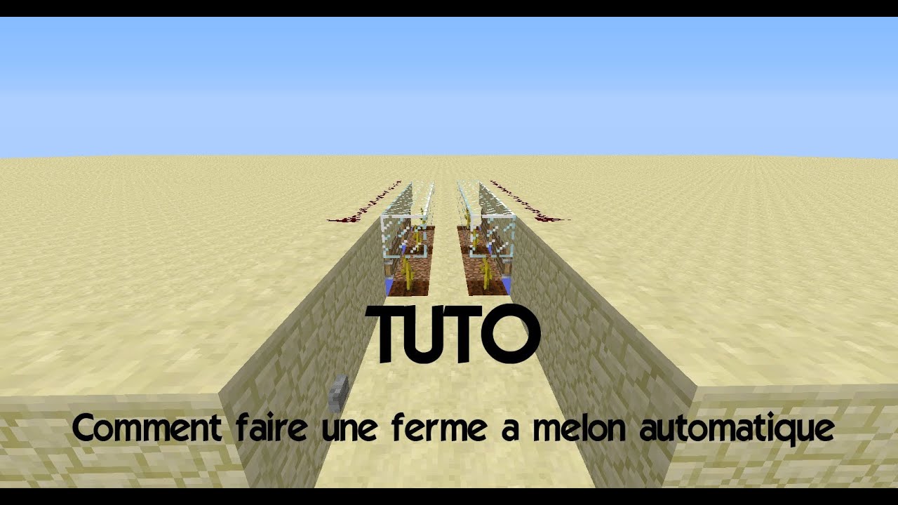 Comment Faire Une Ferme A Melon Sur Minecraft