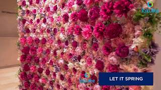Let it Spring - Spring Blossom Wall | Kinetic Flower Display | Interior Design Ideas For Lobby