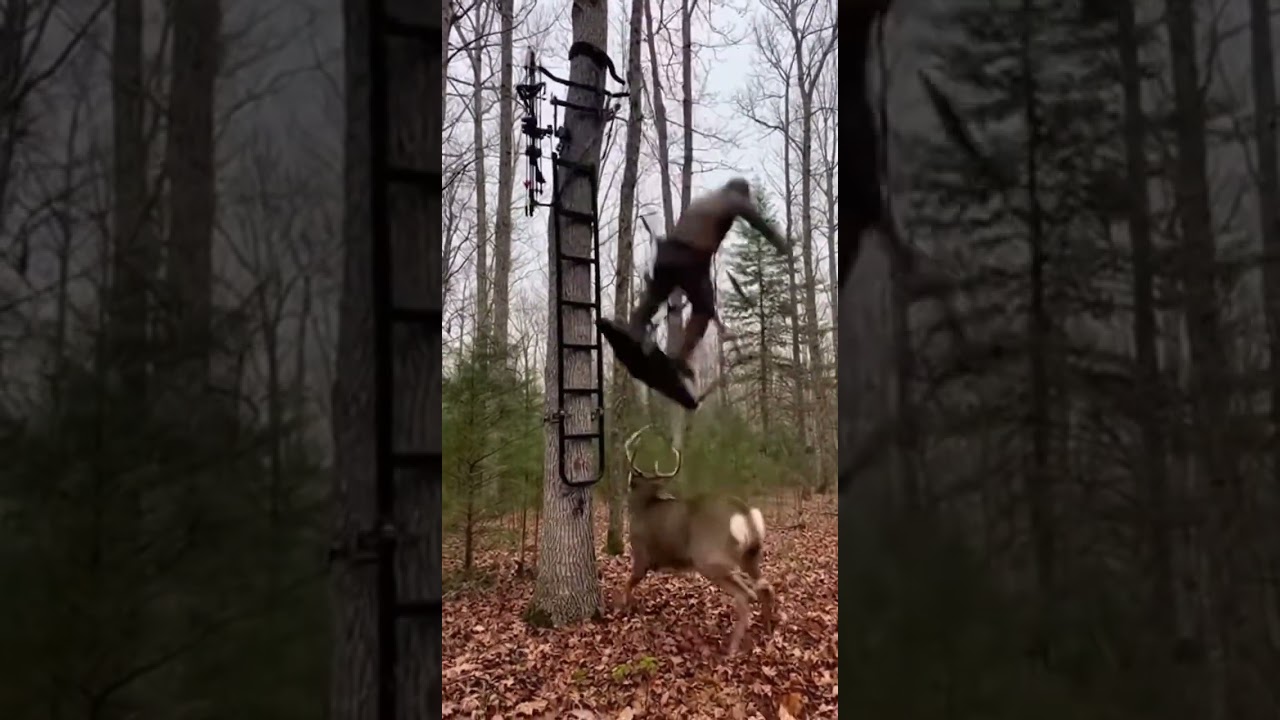 Massive Buck Charges Hunter’s Tree Stand 😳🦌 