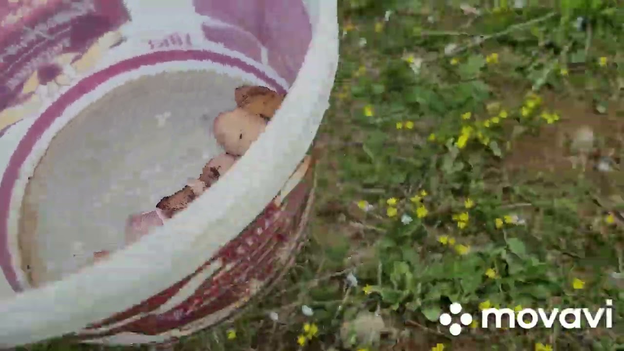 ՍՈՒՆԿ ԵՆՔ ՀԱՎԱՔՈՒՄ/  ՈՒՐԱԽ  և ԴԺՎԱՐ ...