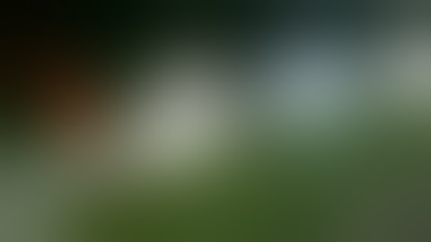 Video Released of Double-Fatal Crash