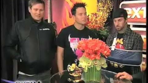 Blink 182 - Grammy Awards Interview (HQ) (DOWNLOAD) (With transcription)