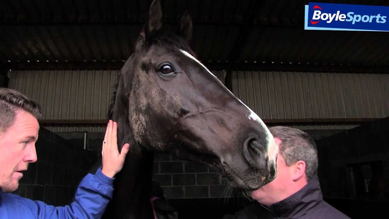 Gold Cup 2016 Winner Don Cossack