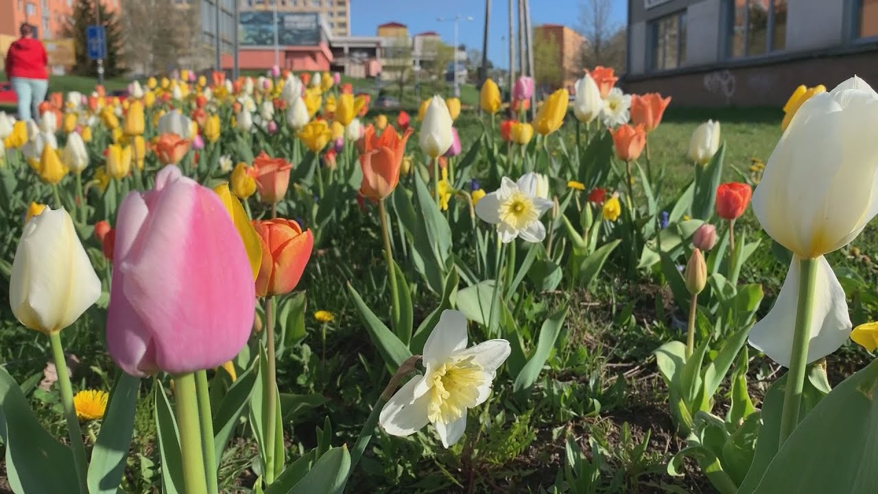 Přerovské aktuality - 22. 5. 2024