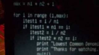 Famous Python Program showing Lowest Common Denominator Net Worth