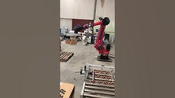 Customized robot hand carton box automatic palletizing machine palletizer robot hand
