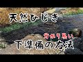 【天然もの】生ひじきの下処理の仕方