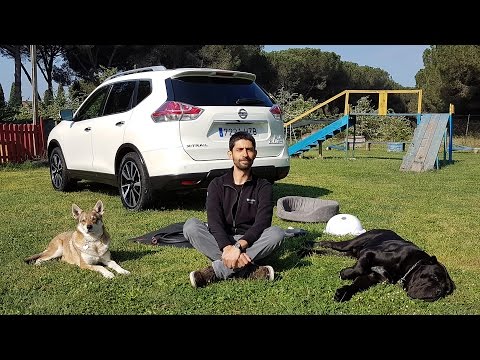 Video: Le 9 migliori auto per gli amanti dei cani