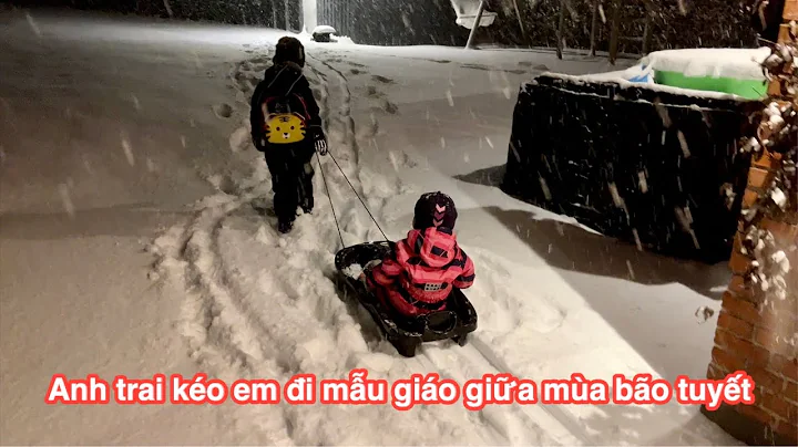 Vincent ko em i mu gio gia tri ng bo tuyt