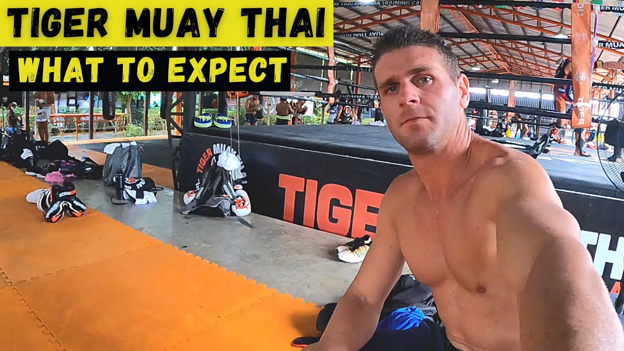 The #1 Muay Thai, MMA & Fitness camp in Phuket Thailand