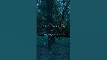 مشاري راشد العفاسي 