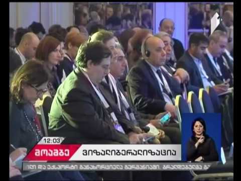 ბრიუსელში ვიზალიბერალიზაციის საკითხზე დაგეგმილ შეხვედრაზე სიტყვით მიხეილ ჯანელიძე წარდგება