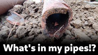 What's in my Sewage Pipes!?