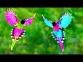 সবথেকে সুন্দর ৫টি ঈশ্বরের পাখি | 5 Most Beautiful Unique Exotic Birds of Paradise In The World!