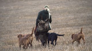 Gundogs - A (wo)man’s Best Friend.