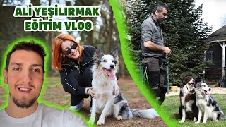 BONNIE ALİ YEŞİLIRMAK DOG ACADEMY'DE🐶 / TEMEL İTAAT EĞİTİMİ VLOG