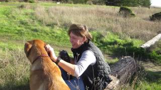 UNLEASHED by Amanda Jones