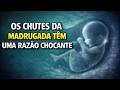 REVELADO PELA CIÊNCIA: O Que o Bebê Faz Enquanto Você Dorme na MADRUGADA! VEJA AQUI