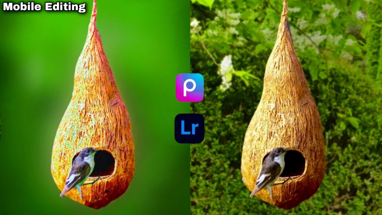 Blur Background With PicsArt Blur Background PicsArt Photo Editing