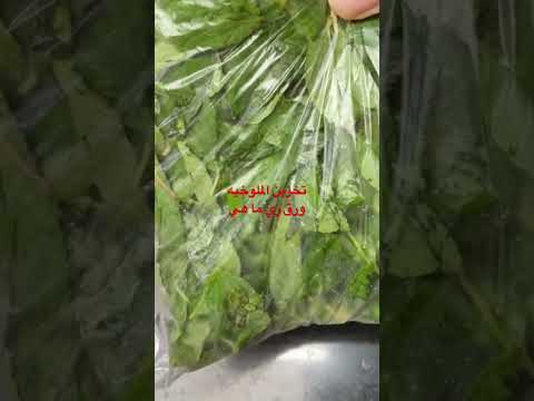 تخزين الملوخيه ورق زي ما هي أسهل طريقه