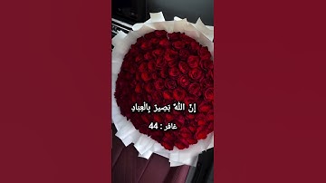 #إسلام_صبحي #اكسبلور #المصحف #تلاوة_خاشعة #تلاوة_مؤثرة #لايك