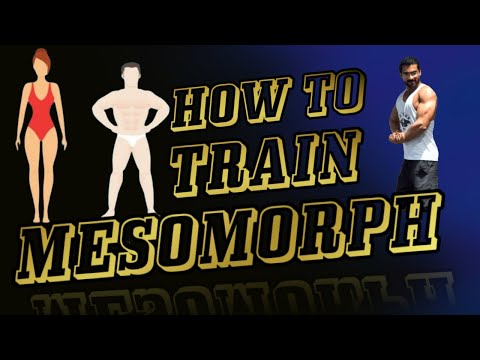 How To Train Mesomorph