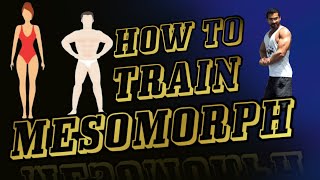 How To Train Mesomorph