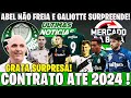 GRATA SURPRESA! CONTRATO ATÉ 2024! MEIA VAI ASSINAR! EXCELENTE ESTRATÉGIA DA DIRETORIA! DEFINIDO!