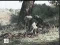 ENPEI Rouiba PART 1