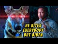 Biden has the most dangerous dog of all time
