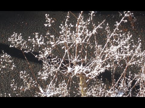 【白い恋人達】桑田佳祐／歌おうfavorite songs 169