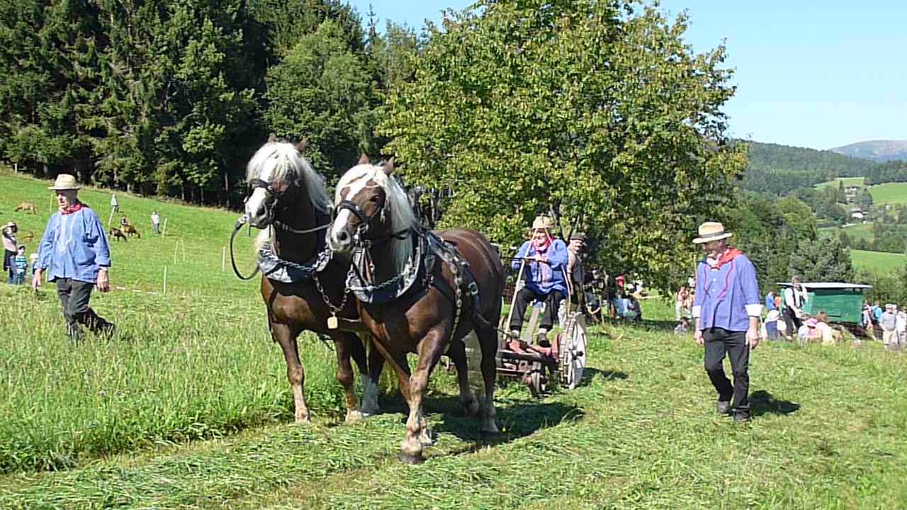 Mähmaschine mit Pferdegespann - Schwarzwald Brauchtumsfest Raich