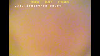 2317 Lemontree Court - 3