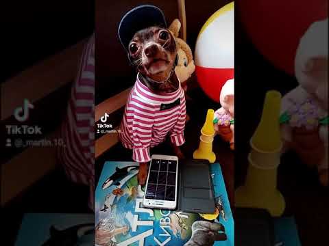 Честный мальчик 😂а как по другому