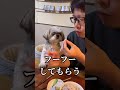 Tiktok90万回再生されたイモと肉でケンカ勃発するも最後はKISS #shorts #犬