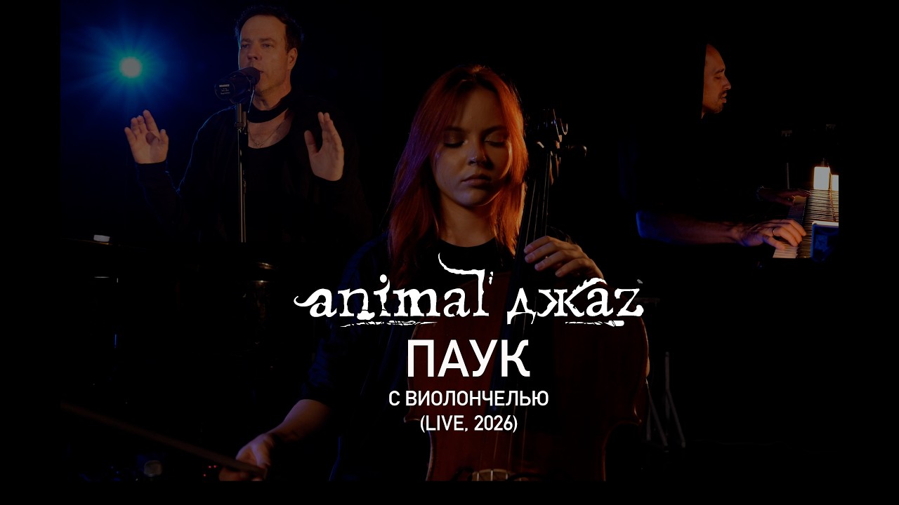 Animal ДжаZ — Паук (Live с виолончелью, 2026)