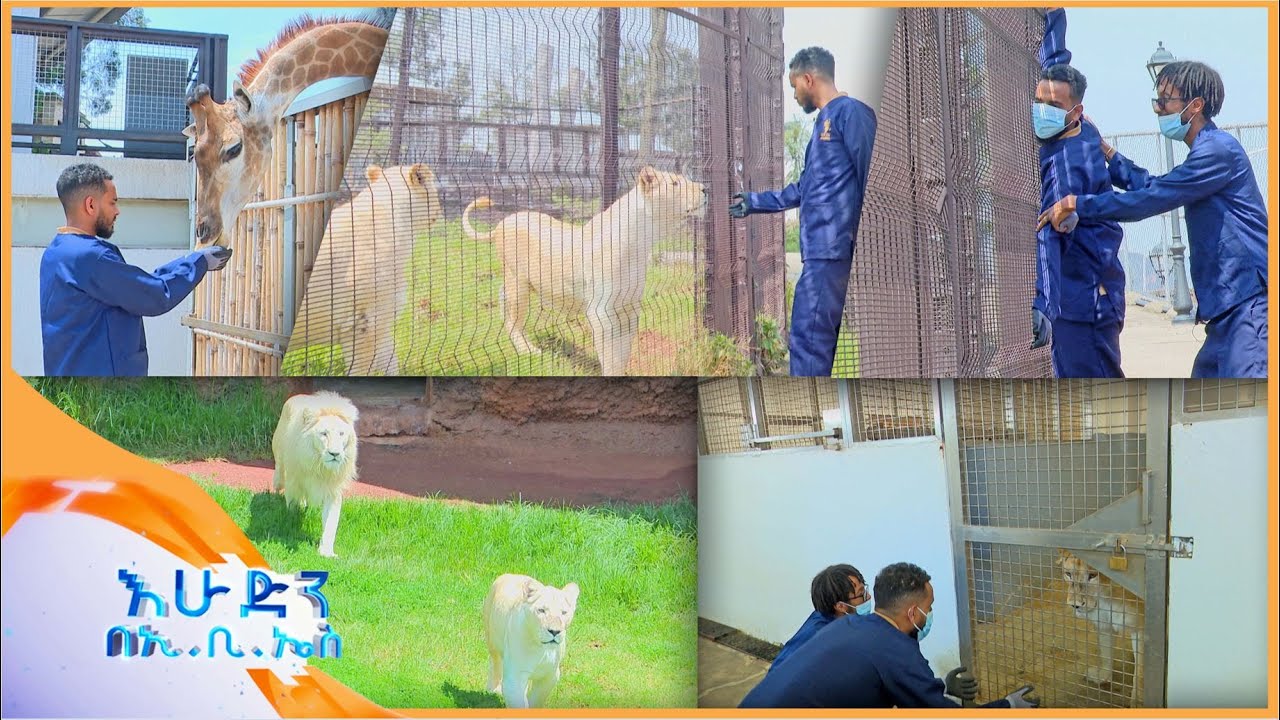 //ትንሽ እረፍት//