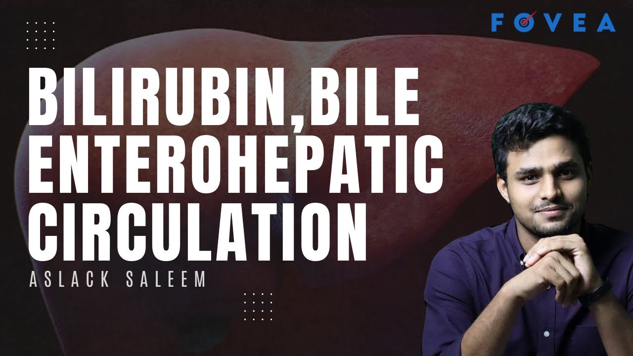 BILIRUBIN,BILE AND ENTEROHEPATIC CIRCULATION - YouTube
