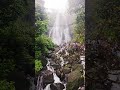 #amboli #nature