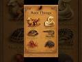 TYPES OF MOST CRAZY RARE THINGS #1