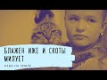 Блажен иже и скоты милует. Небо на Земле