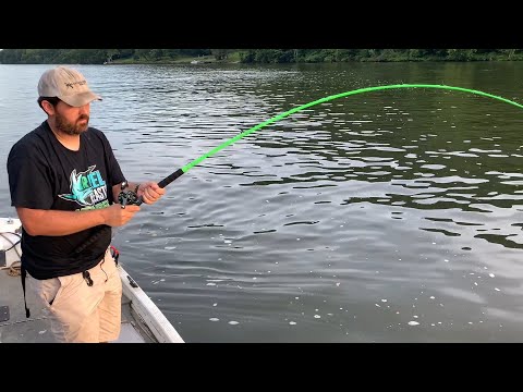 Catching MULTIPLE Big Catfish In The Fast Current (Ft. Reel Beasts