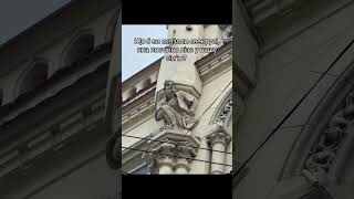 Свекруха #невістка #свекруха #життя #привіт #гарногонастрою #позитив #приколи #сміх #прикол