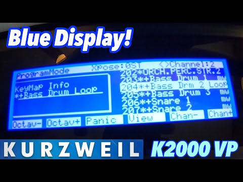 Kurzweil Blue Display Installation