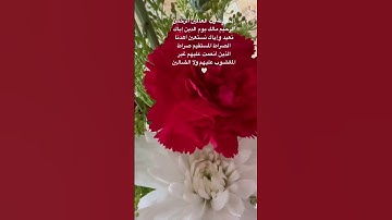 سورةالفاتحة #قرآن_كريم #سورة_الفاتحة #العراق #المغرب #مصر #turkey #istanbul # #لاإله_إلا_الله #دبي